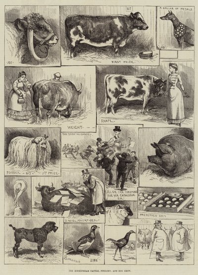 バーミンガムの牛、家禽、犬のショー 作： Alfred Courbould
